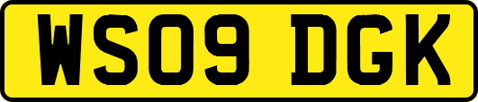 WS09DGK