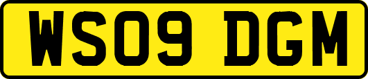WS09DGM