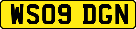 WS09DGN