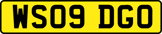 WS09DGO