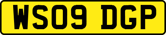 WS09DGP