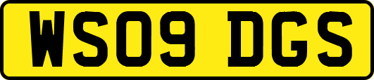 WS09DGS
