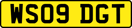 WS09DGT