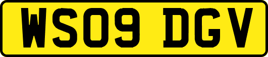WS09DGV