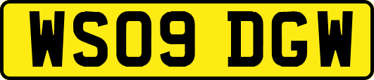 WS09DGW