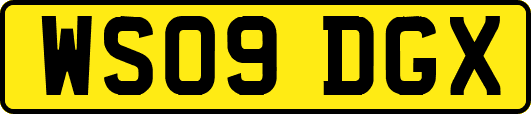 WS09DGX