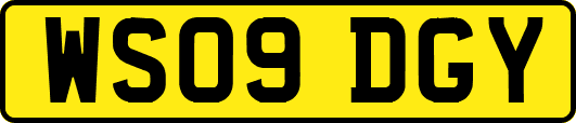 WS09DGY