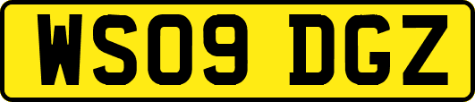WS09DGZ