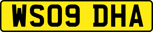 WS09DHA