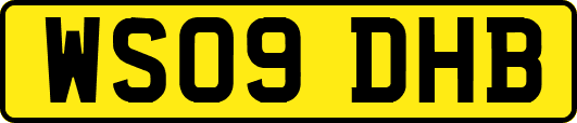 WS09DHB