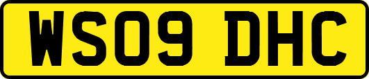 WS09DHC