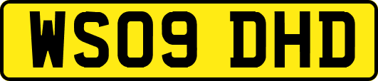 WS09DHD