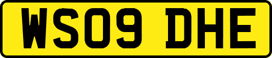WS09DHE