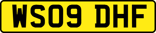 WS09DHF