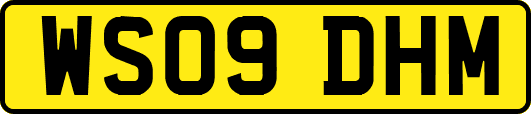 WS09DHM