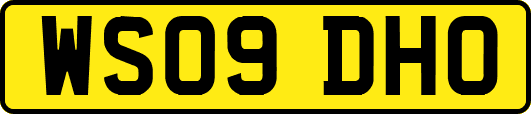 WS09DHO