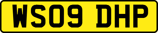WS09DHP