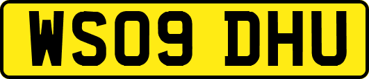 WS09DHU
