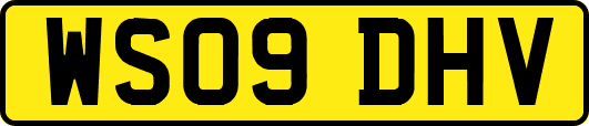 WS09DHV