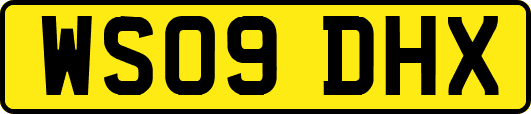 WS09DHX