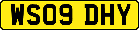 WS09DHY