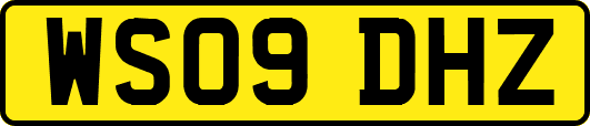 WS09DHZ