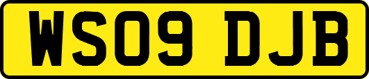 WS09DJB