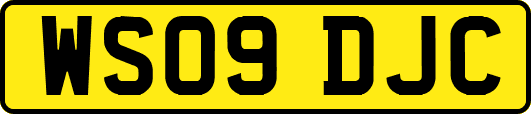 WS09DJC