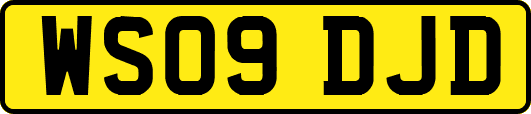 WS09DJD