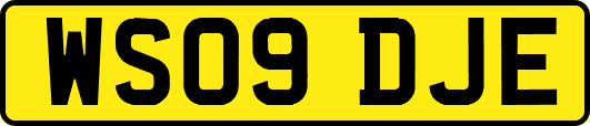 WS09DJE