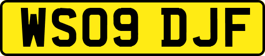 WS09DJF