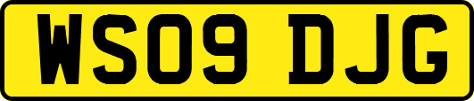 WS09DJG