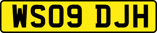 WS09DJH