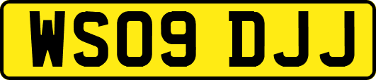 WS09DJJ
