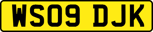 WS09DJK