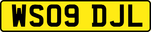 WS09DJL