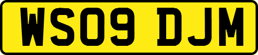 WS09DJM
