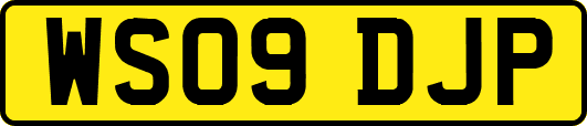WS09DJP