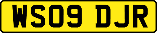 WS09DJR