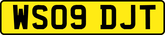 WS09DJT