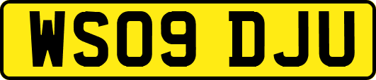WS09DJU