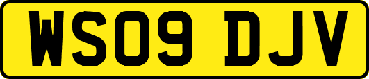 WS09DJV