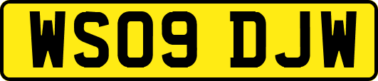 WS09DJW