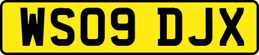 WS09DJX