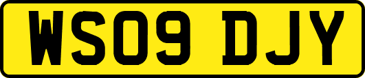 WS09DJY