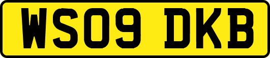 WS09DKB