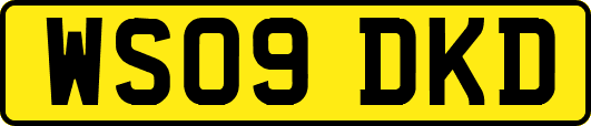 WS09DKD