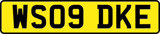 WS09DKE