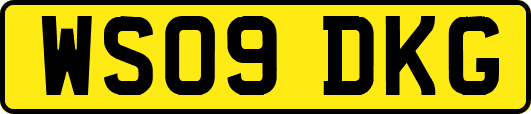 WS09DKG