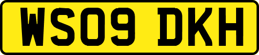 WS09DKH